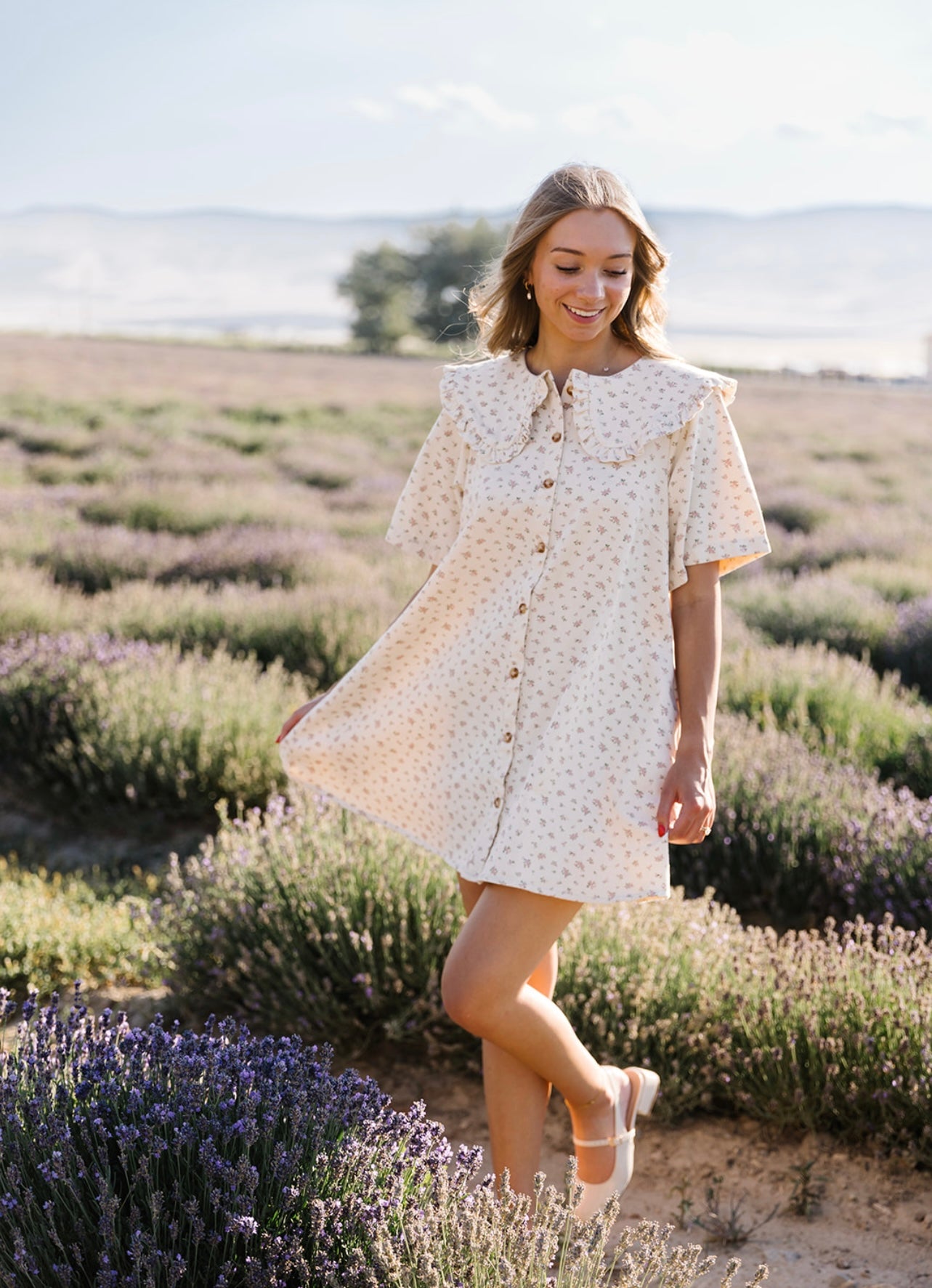 Seraphina Floral Wide Collar Mini Dress