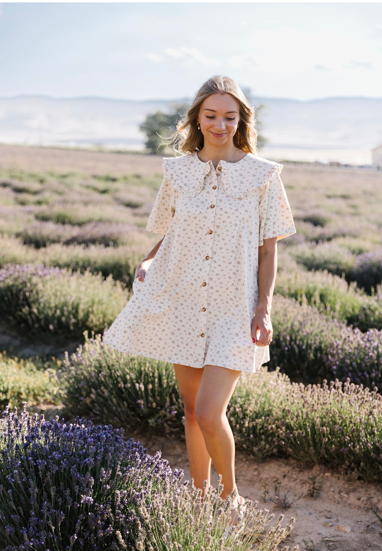 Seraphina Floral Wide Collar Mini Dress