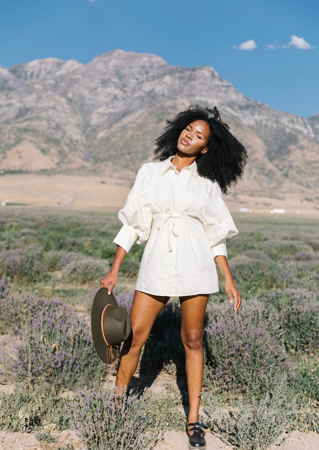 Meadow Big Sleeve Poplin Mini Dress