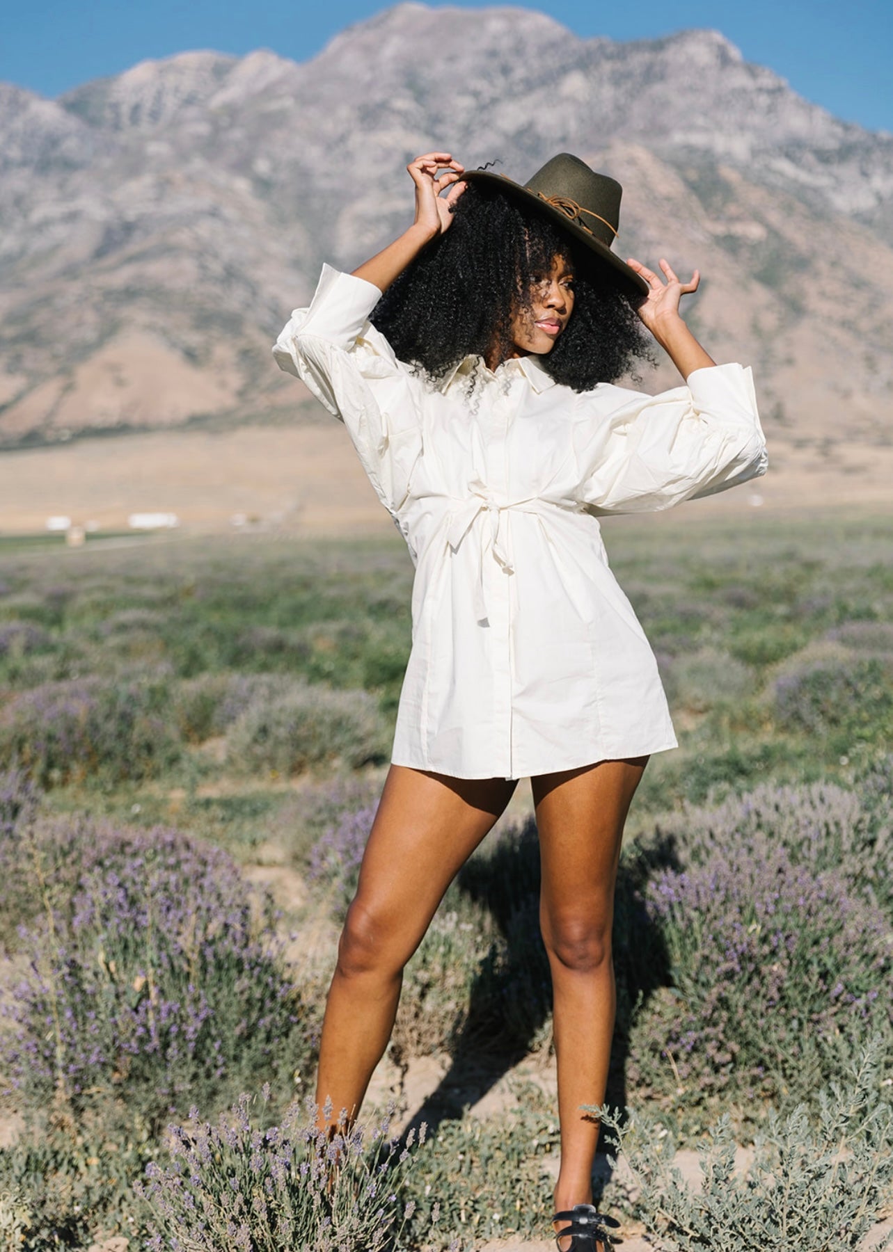 Meadow Big Sleeve Poplin Mini Dress