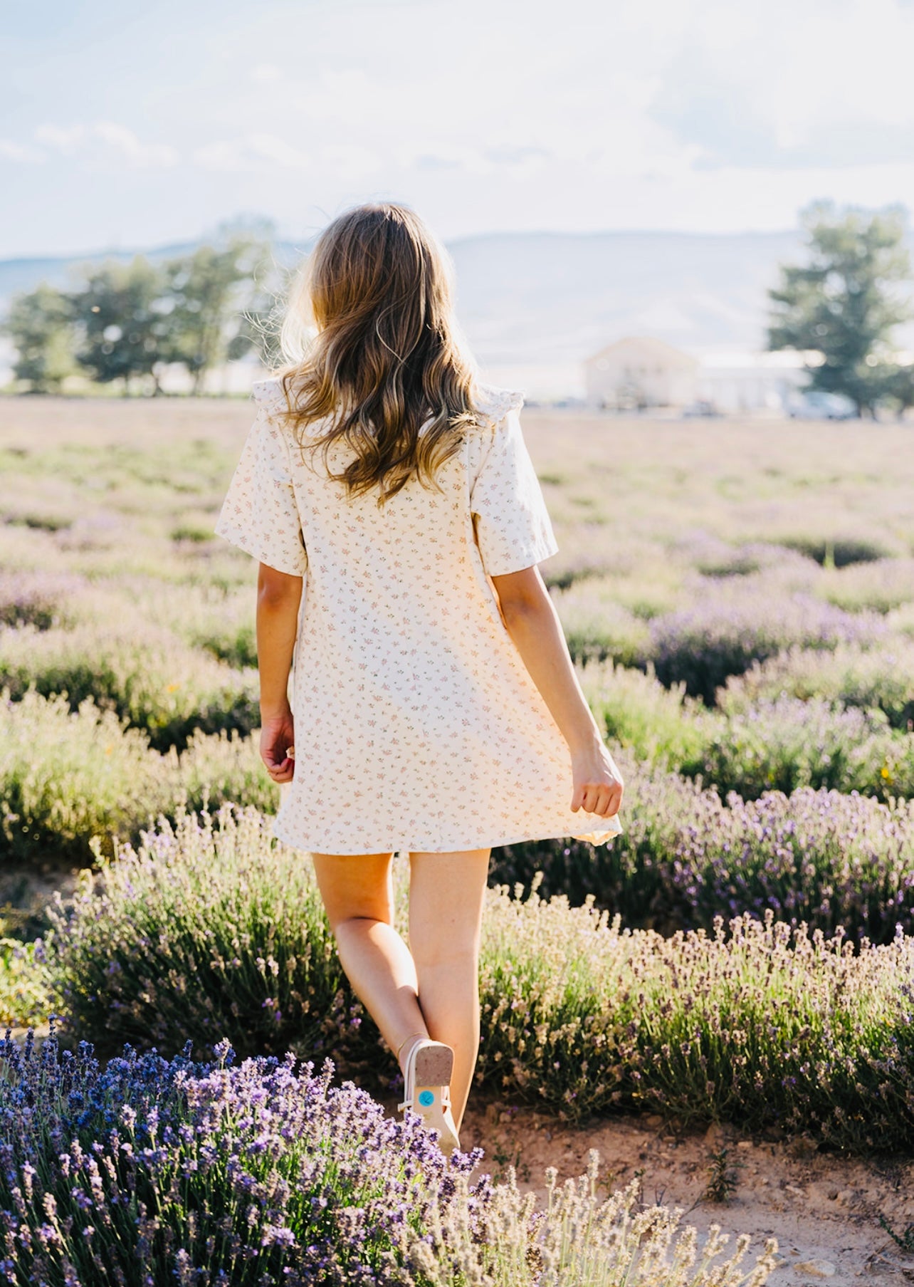 Seraphina Floral Wide Collar Mini Dress