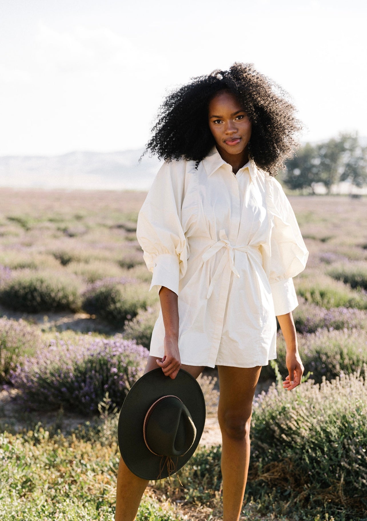 Meadow Big Sleeve Poplin Mini Dress