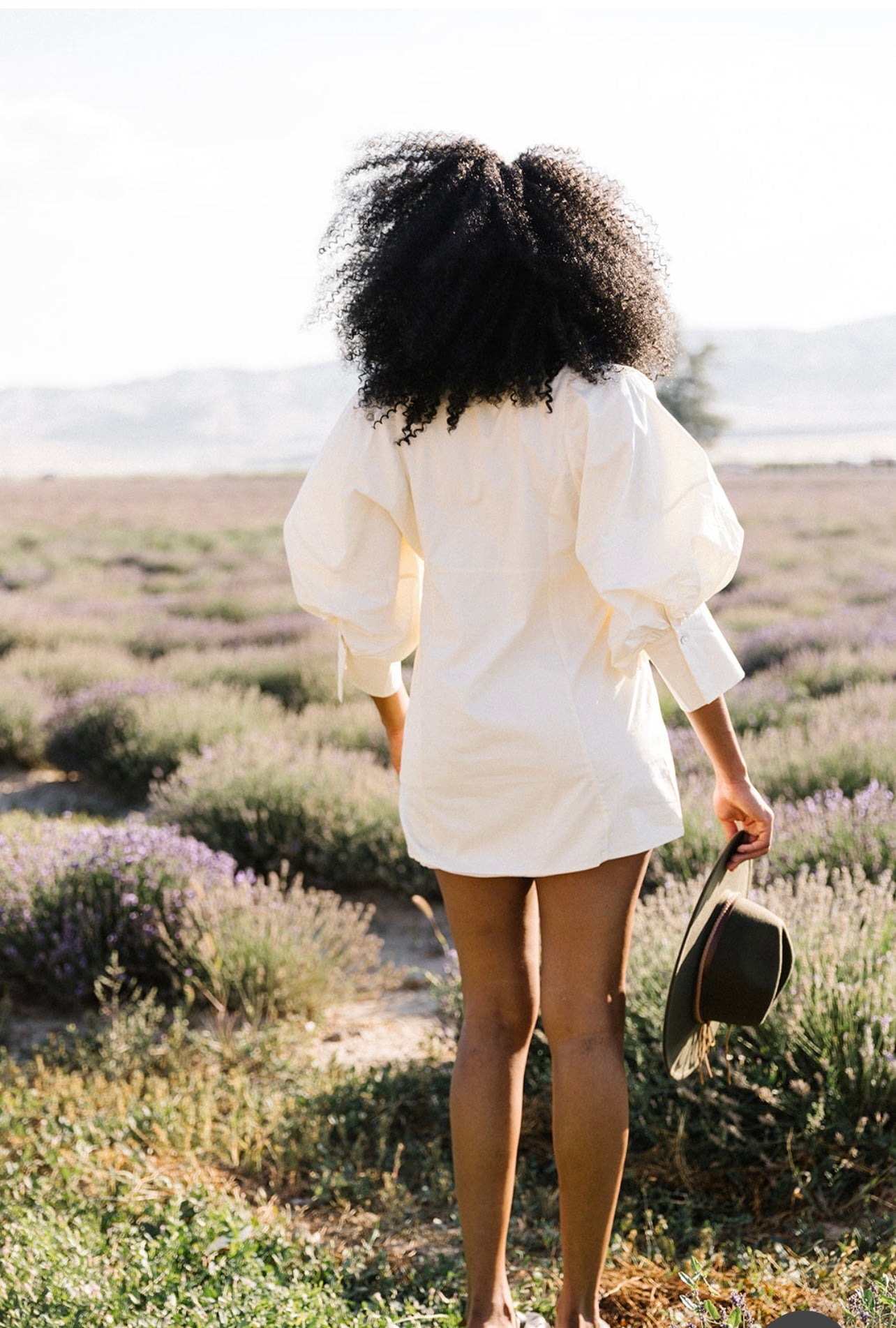 Meadow Big Sleeve Poplin Mini Dress