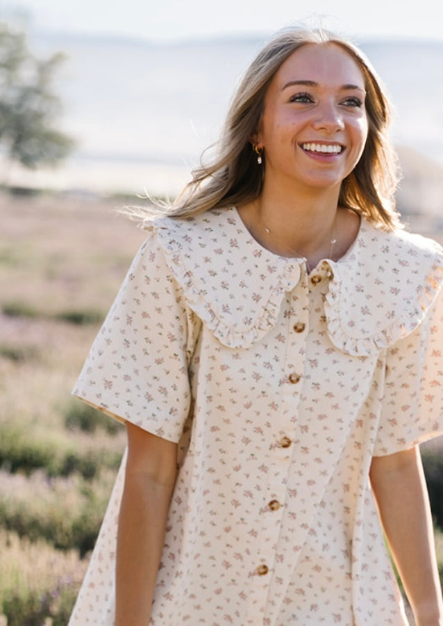 Seraphina Floral Wide Collar Mini Dress