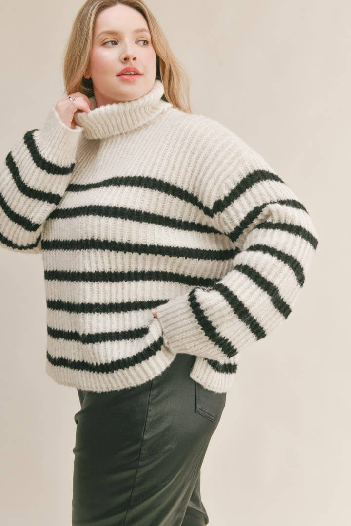 Allie Striped Chunky Knit Turtleneck Sweater